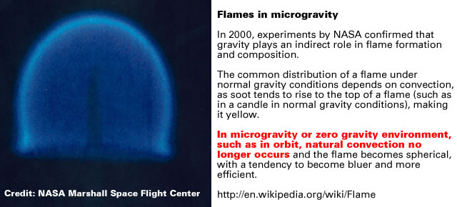 Flames in microgravity